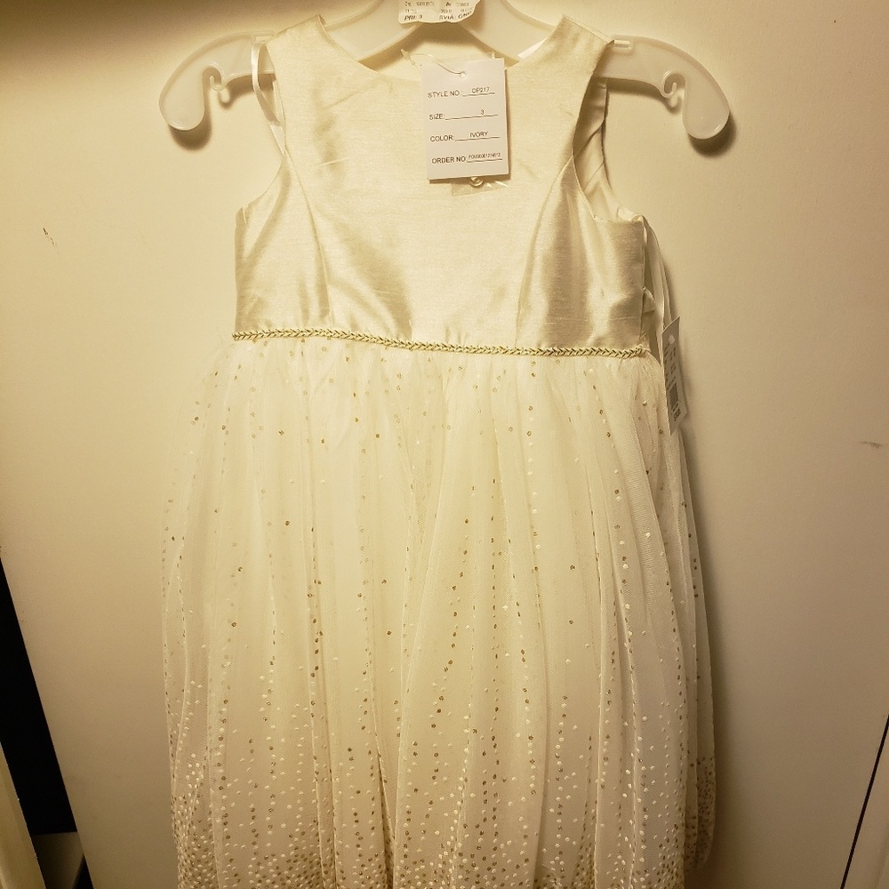 Size 3T girl dress (any occasion)